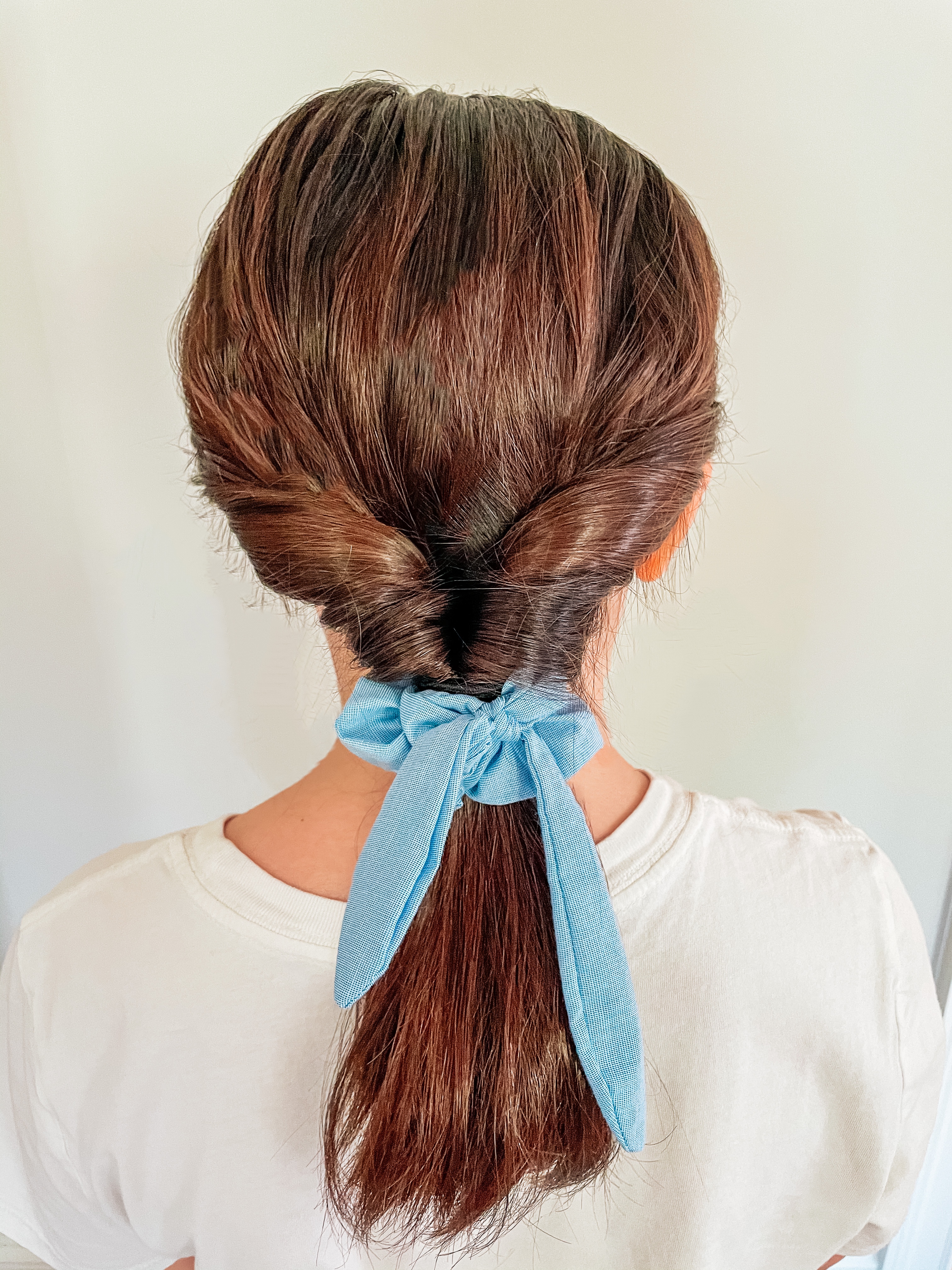 inverted ponytail how to